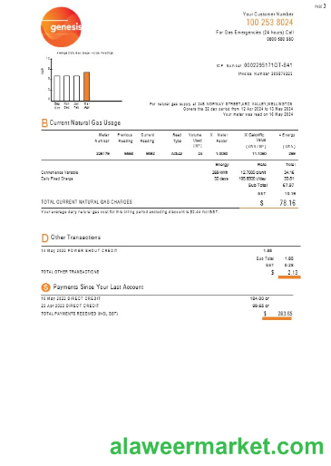 New Zealand Genesis Gas utility bill 3 pages